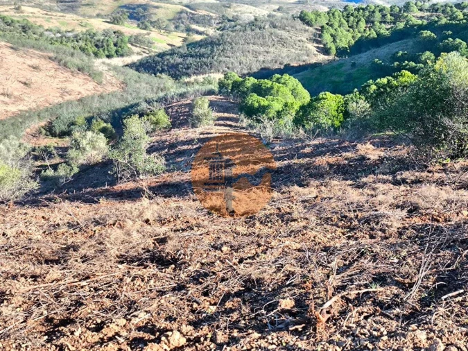 Terreno para Venda em Azinhal Foto 19