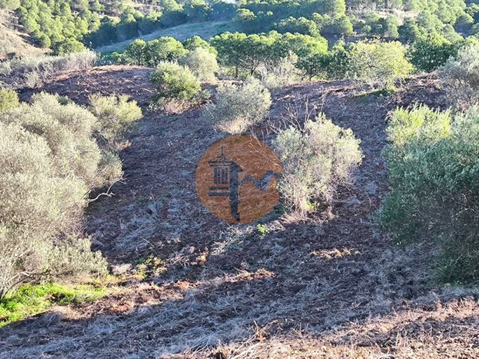 Terreno para Venda em Azinhal Foto 20