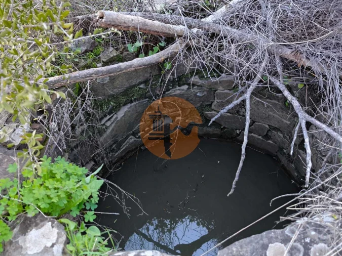 Terreno para Venda em Azinhal Foto 23