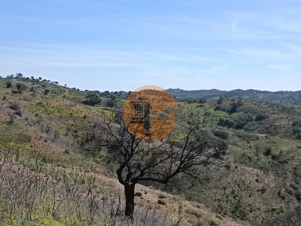 Terreno para Venda em Odeleite Foto 21
