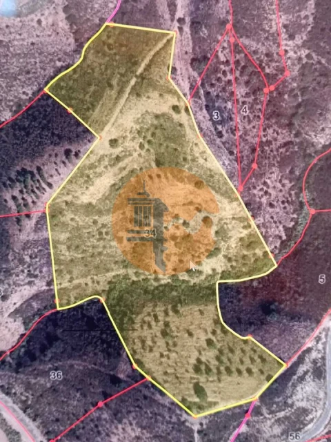 Terreno para Venda em Odeleite