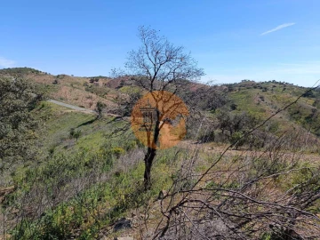 Terreno para Venda em Odeleite