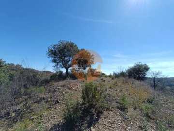 Terreno para Venda em Odeleite