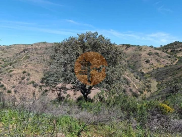 Terreno para Venda em Odeleite