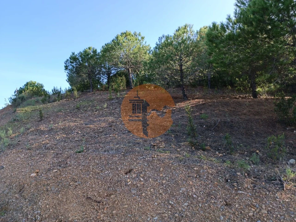Terreno para Venda em Castro Marim Foto 10