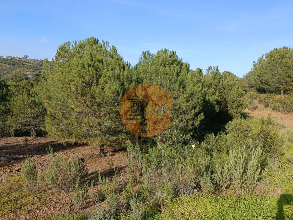 Terreno para Venda em Castro Marim Foto 12