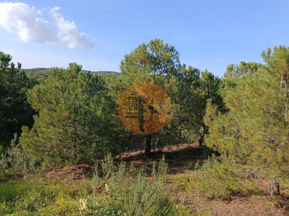 Terreno para Venda em Castro Marim Foto 14