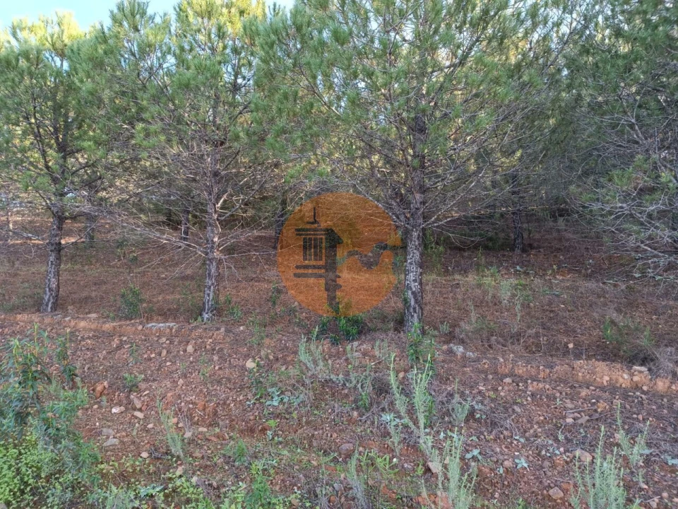 Terreno para Venda em Castro Marim Foto 9