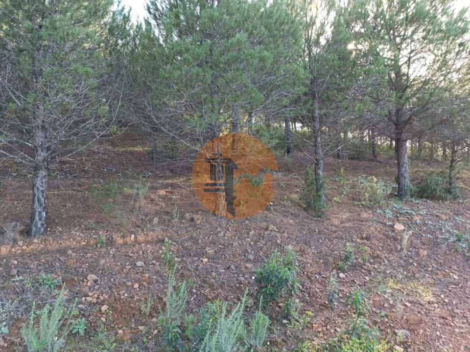 Terreno para Venda em Castro Marim Foto 16