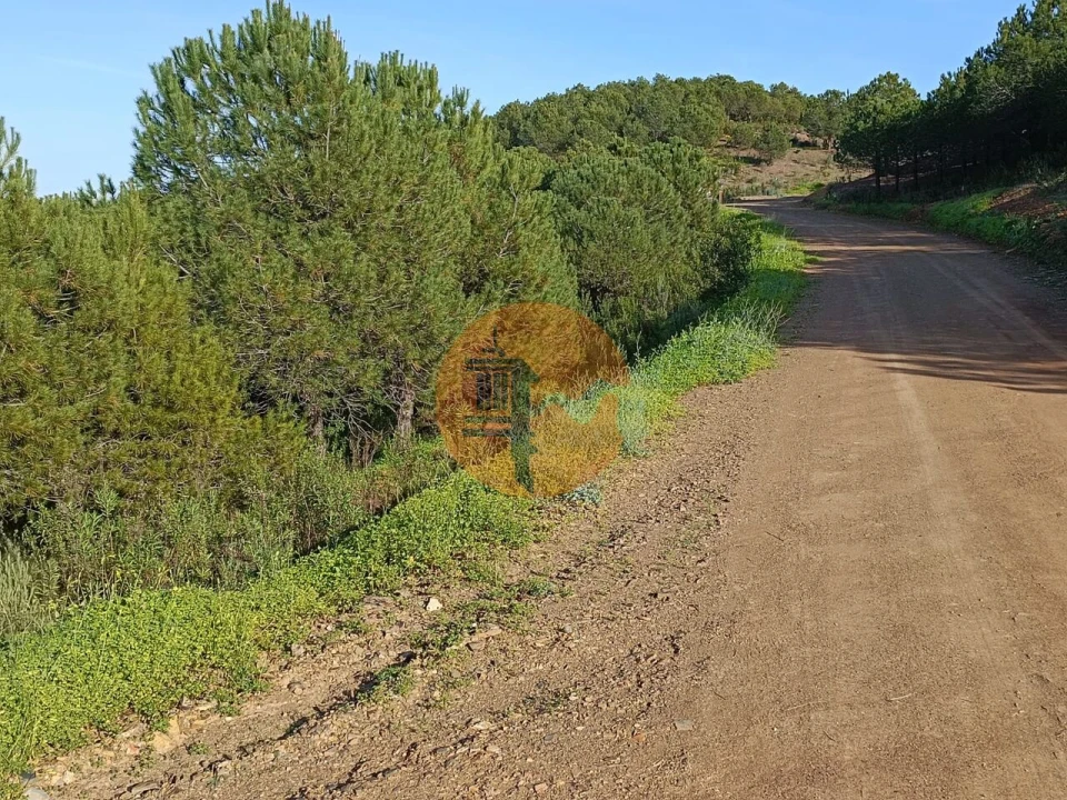 Terreno para Venda em Castro Marim Foto 18