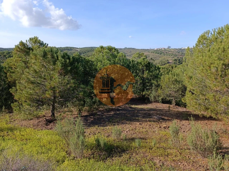 Terreno para Venda em Castro Marim Foto 20