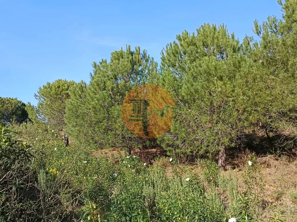 Terreno para Venda em Castro Marim Foto 21