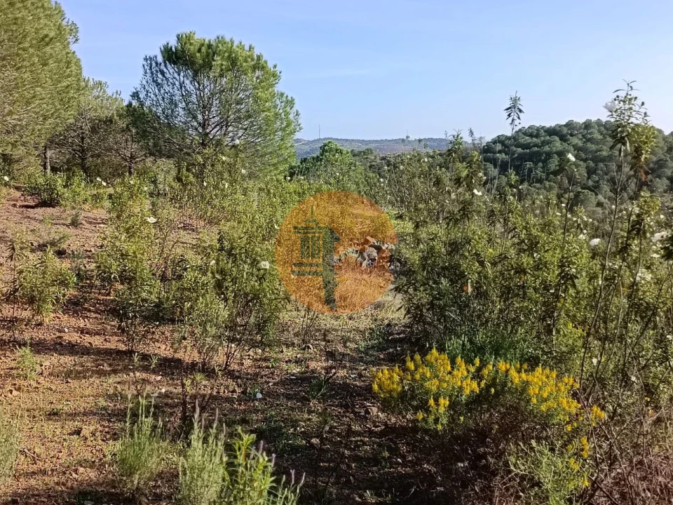 Terreno para Venda em Castro Marim Foto 22