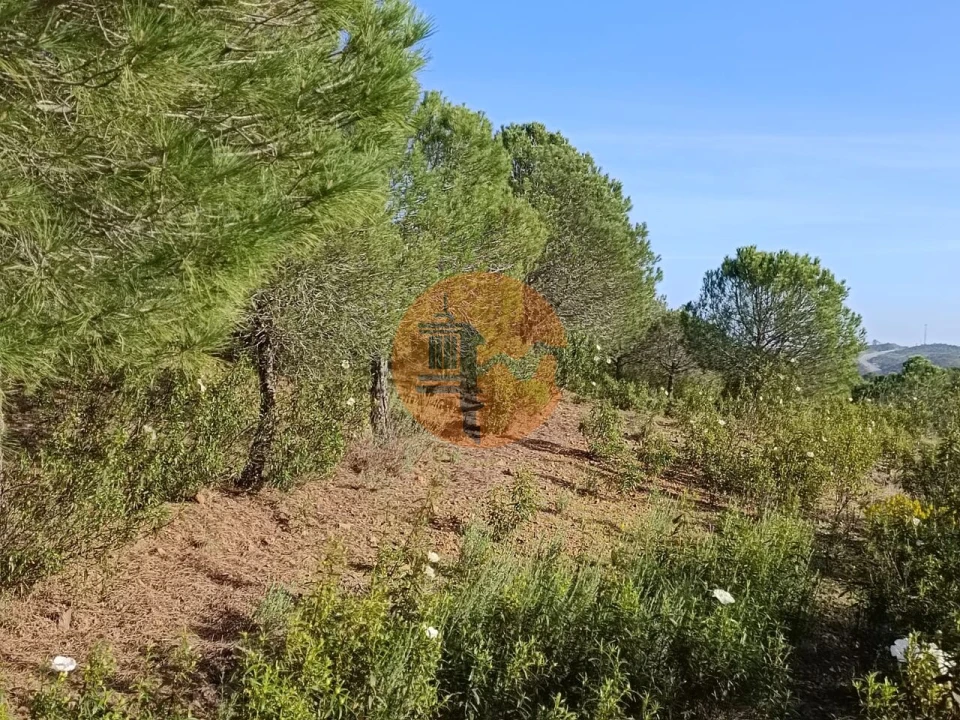 Terreno para Venda em Castro Marim Foto 24