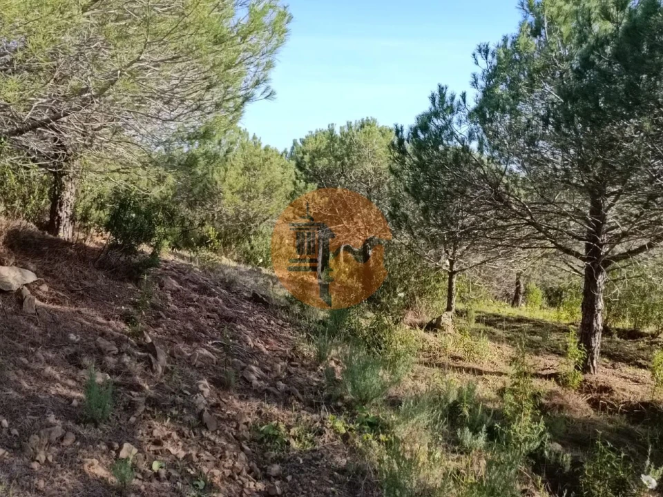 Terreno para Venda em Castro Marim Foto 31