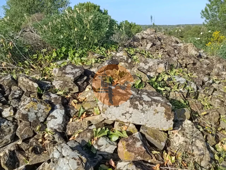 Terreno para Venda em Castro Marim Foto 32