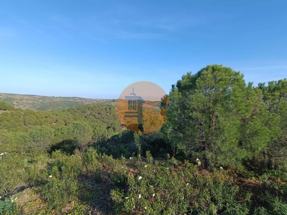 Terreno para Venda em Castro Marim Foto 40