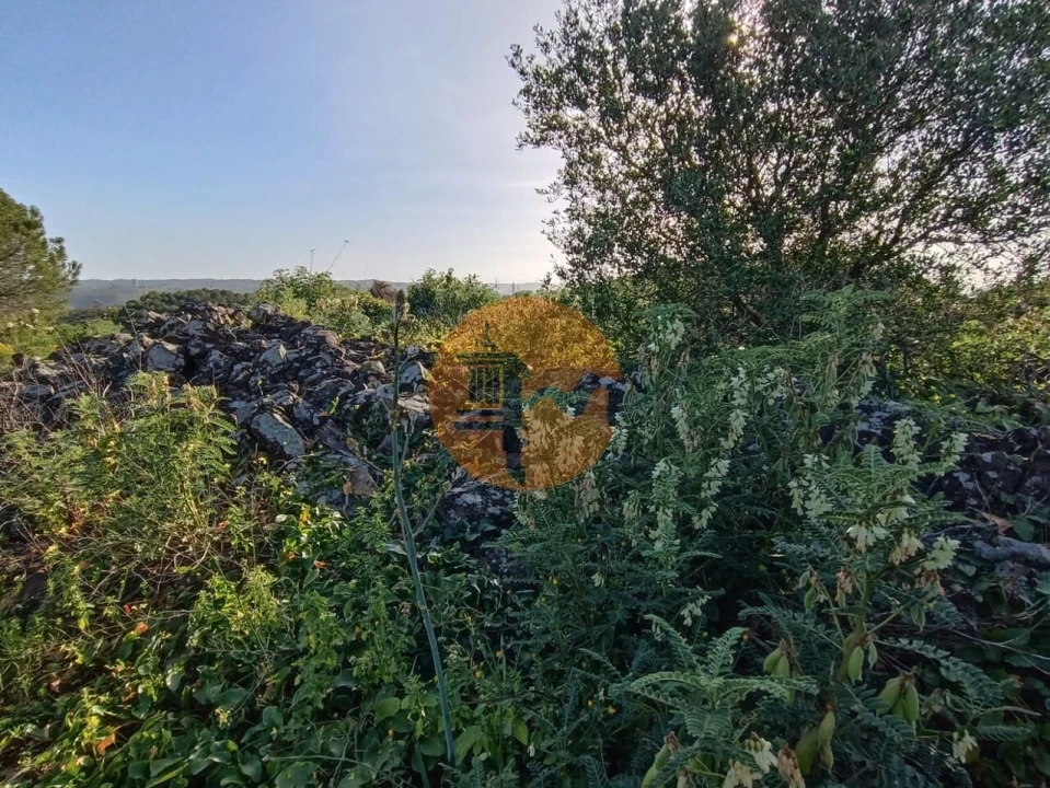 Terreno para Venda em Castro Marim Foto 44