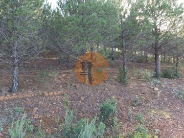Terreno para Venda em Castro Marim