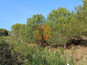 Terreno para Venda em Castro Marim