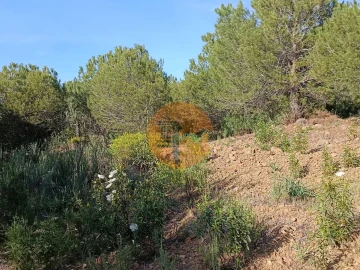 Terreno para Venda em Castro Marim