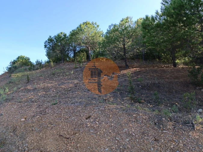 Terreno para Venda em Castro Marim Foto 10