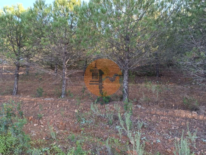 Terreno para Venda em Castro Marim Foto 9