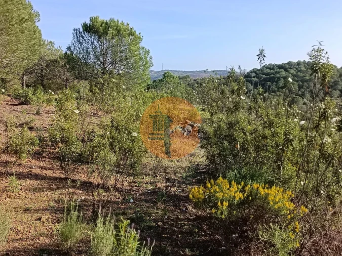 Terreno para Venda em Castro Marim Foto 22