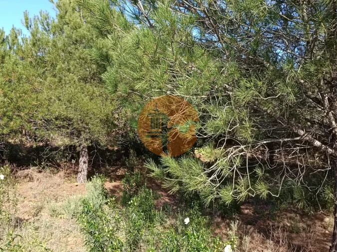 Terreno para Venda em Castro Marim Foto 23