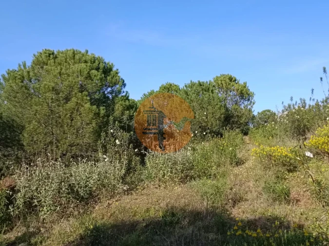 Terreno para Venda em Castro Marim Foto 29