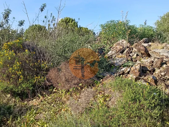 Terreno para Venda em Castro Marim Foto 5