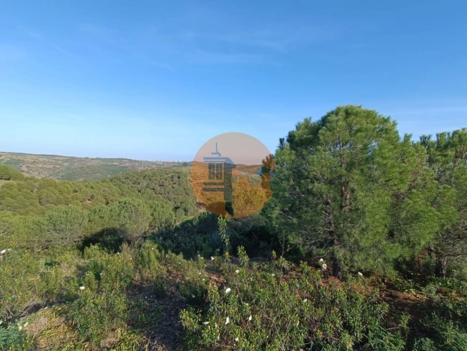 Terreno para Venda em Castro Marim Foto 40