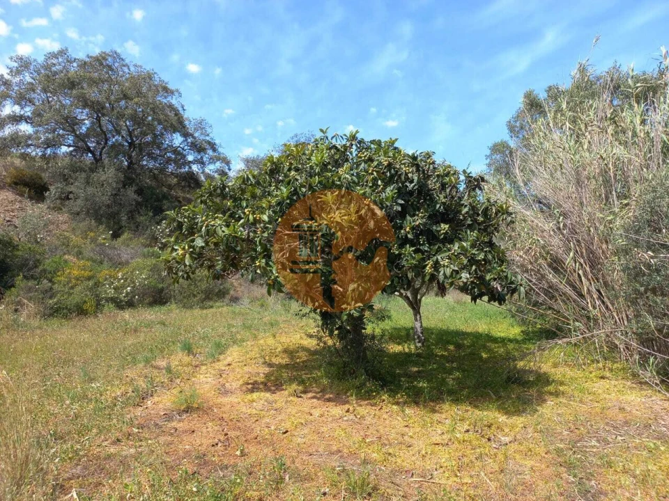 Terreno para Venda em Castro Marim Foto 8