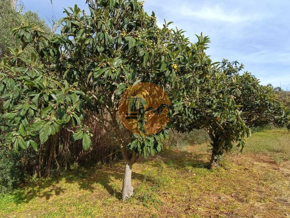 Terreno para Venda em Castro Marim Foto 12