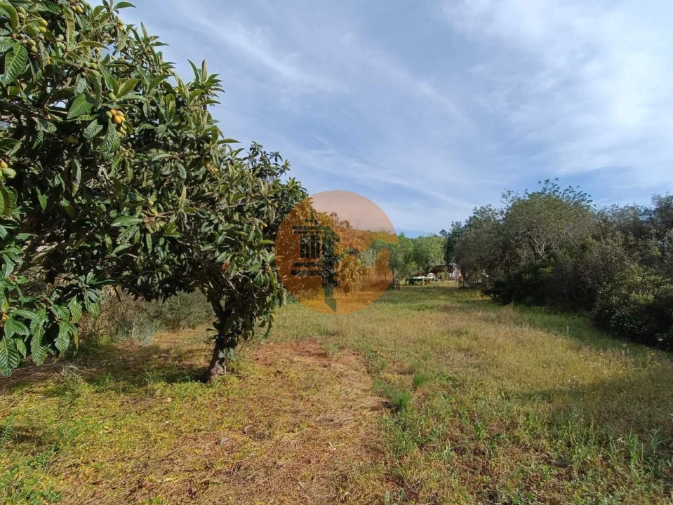 Terreno para Venda em Castro Marim Foto 17