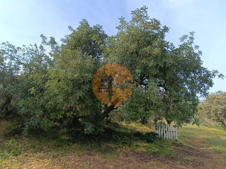Terreno para Venda em Castro Marim Foto 18