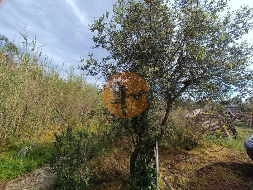 Terreno para Venda em Castro Marim Foto 22