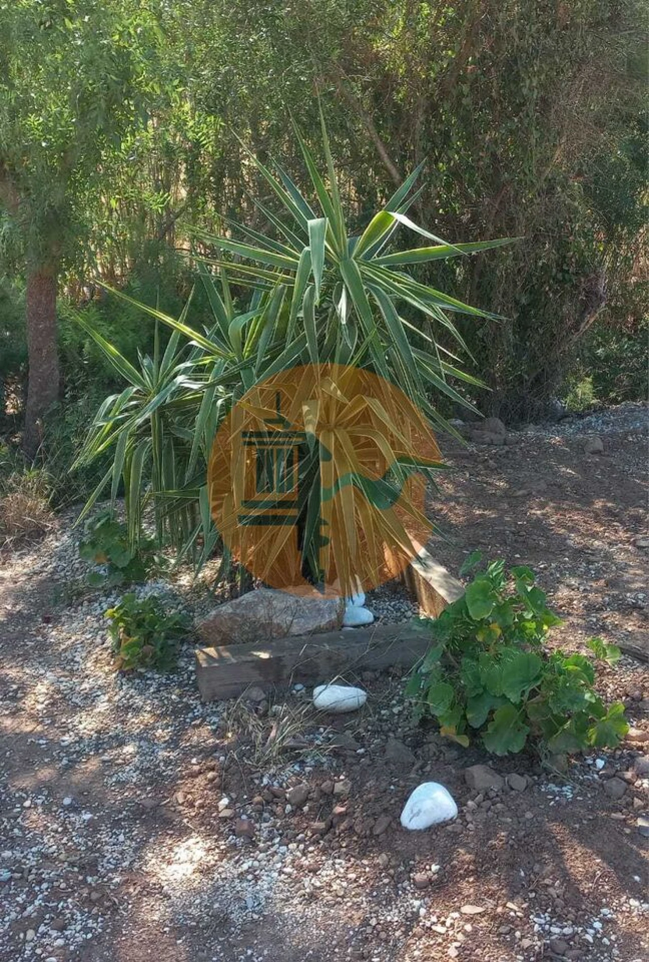 Terreno para Venda em Castro Marim Foto 32