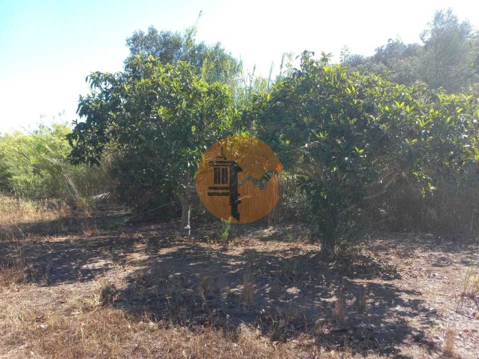 Terreno para Venda em Castro Marim Foto 36