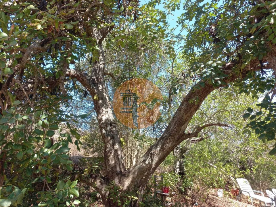 Terreno para Venda em Castro Marim Foto 47