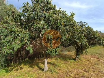 Terreno para Venda em Castro Marim