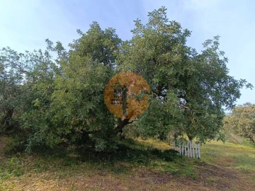 Terreno para Venda em Castro Marim