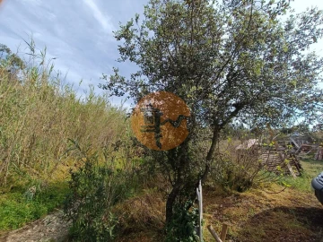 Terreno para Venda em Castro Marim