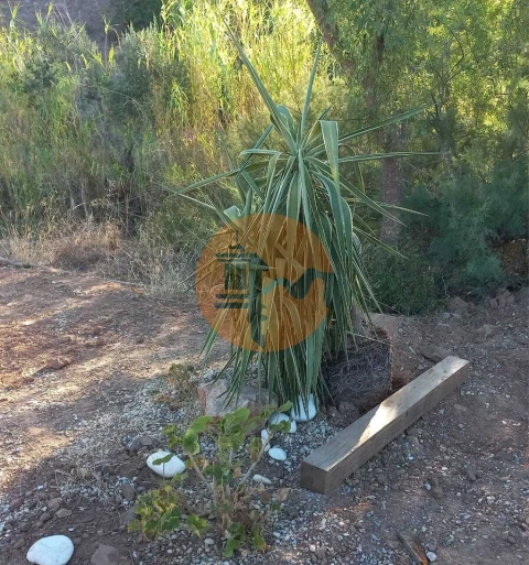 Terreno para Venda em Castro Marim