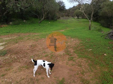 Terreno para Venda em Castro Marim
