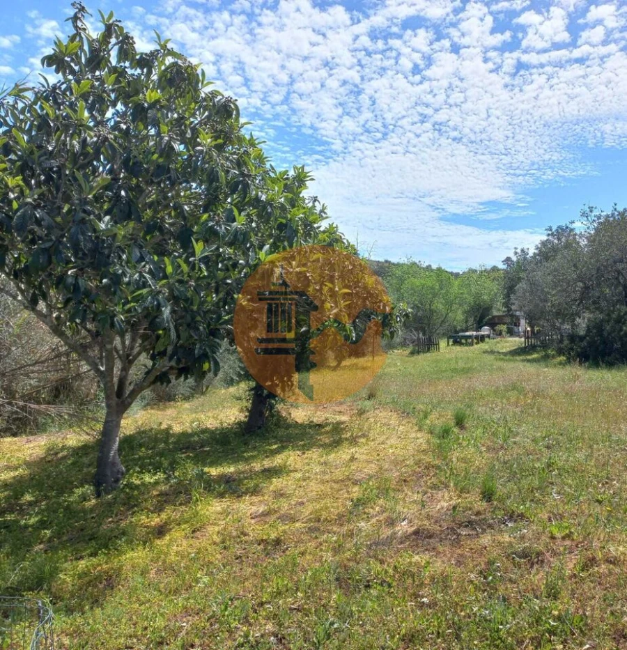 Terreno para Venda em Castro Marim Foto 6