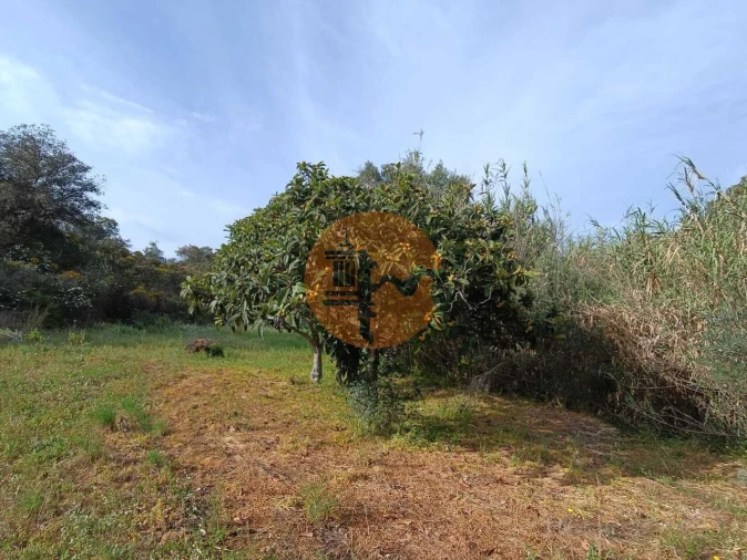 Terreno para Venda em Castro Marim Foto 15