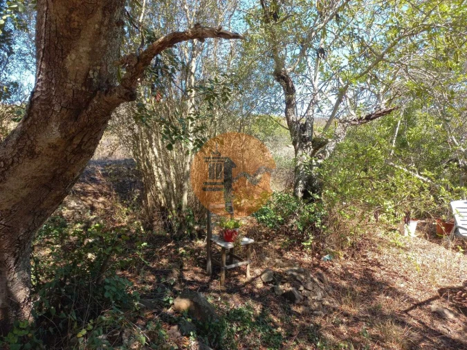 Terreno para Venda em Castro Marim Foto 45