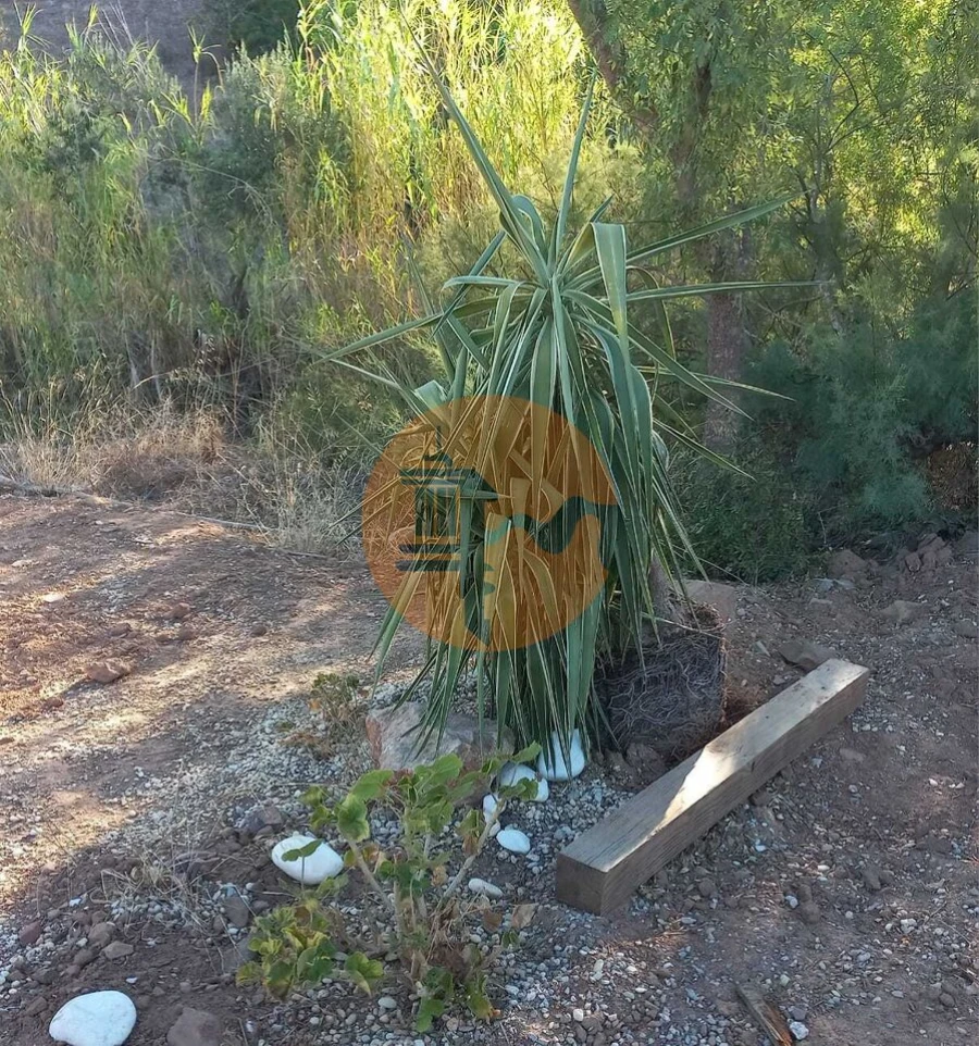 Terreno para Venda em Castro Marim Foto 49