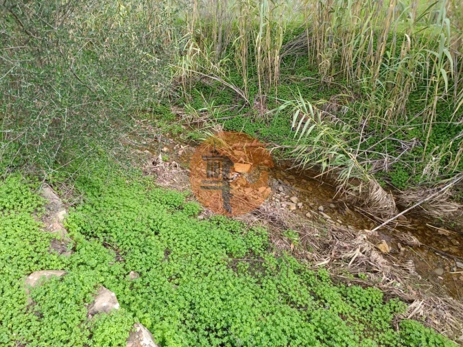 Terreno para Venda em Castro Marim Foto 40